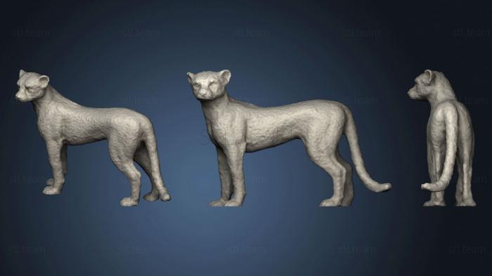 Статуэтки животных Cheetah